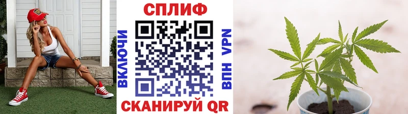 Купить Амфетамин Cocaine СК МЕФ МАРИХУАНА Краснокамск