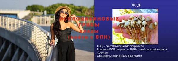 сатива Мегион