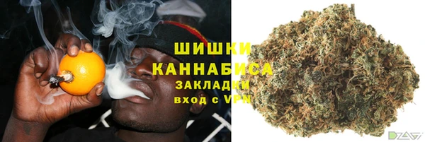 сатива Мегион