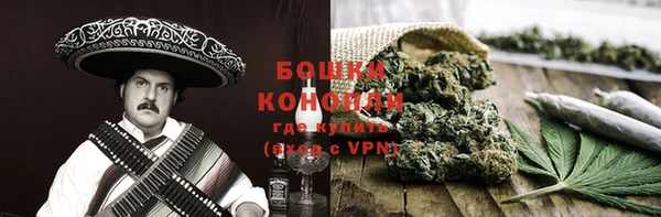 сатива Мегион