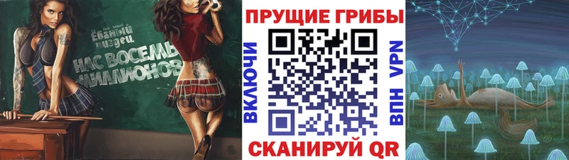 Купить закладки  Краснокамск  Галлюциногенные грибы мицелий 